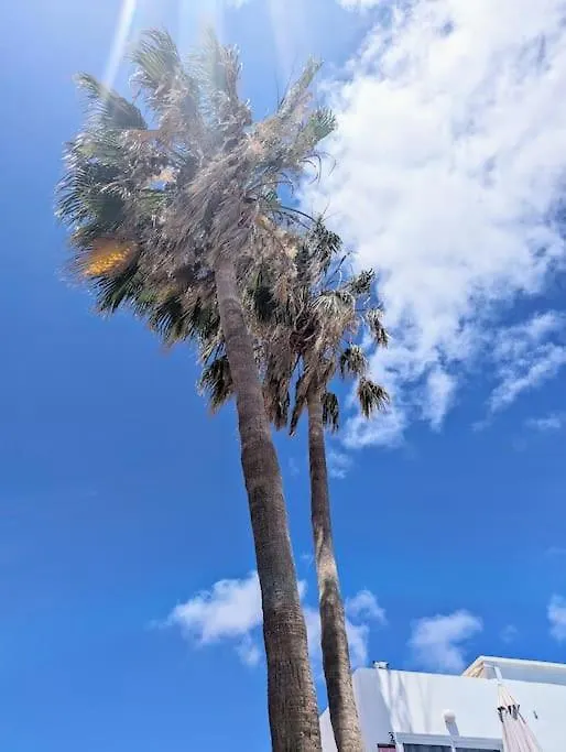 Ocean View Apartment Costa Teguise Spain